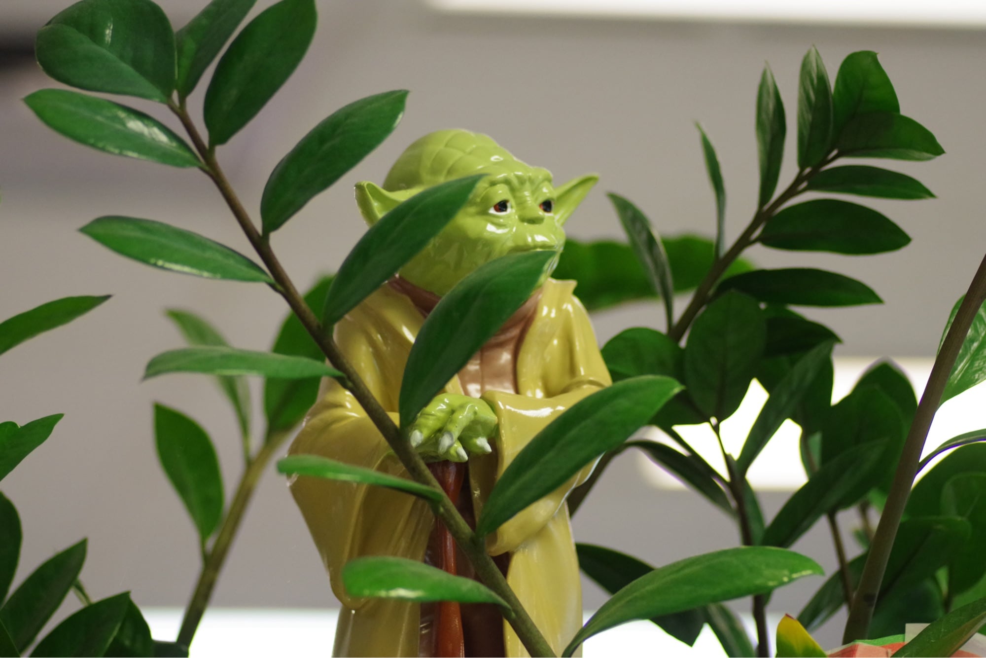 Photo of yoda implying sage advice - Photo by Nadir sYzYgY on Unsplash